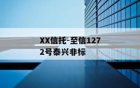 XX信托-至信1272号泰兴非标