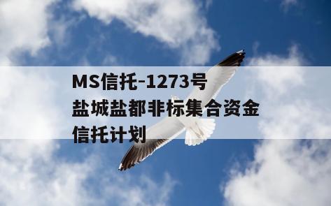 MS信托-1273号盐城盐都非标集合资金信托计划