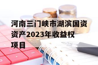河南三门峡市湖滨国资资产2023年收益权项目