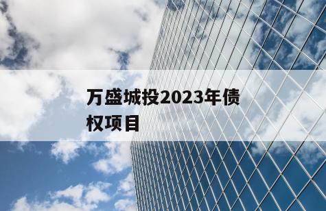 万盛城投2023年债权项目