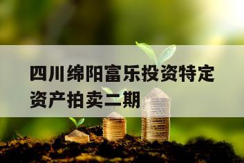 四川绵阳富乐投资特定资产拍卖二期