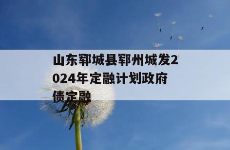 山东郓城县郓州城发2024年定融计划政府债定融