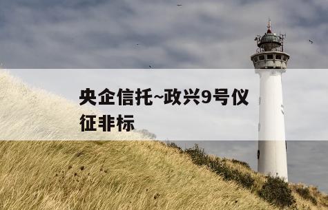 央企信托~政兴9号仪征非标