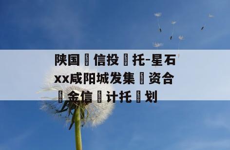 陕国‮信投‬托-星石xx咸阳城发集‮资合‬金信‮计托‬划