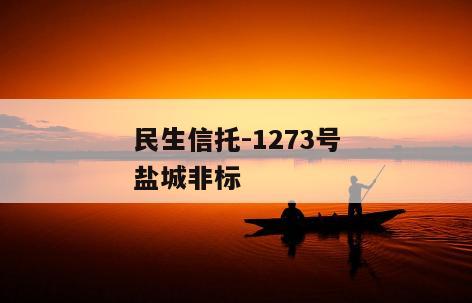 民生信托-1273号盐城非标