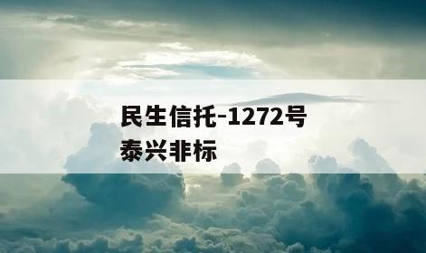 民生信托-1272号泰兴非标