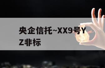 央企信托~XX9号YZ非标