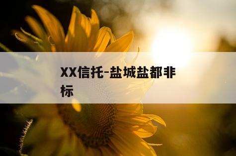 XX信托-盐城盐都非标