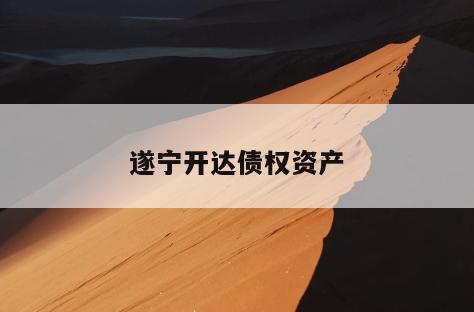 遂宁开达债权资产