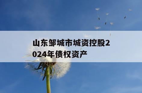 山东邹城市城资控股2024年债权资产