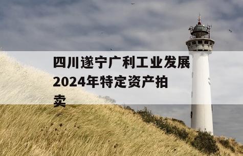四川遂宁广利工业发展2024年特定资产拍卖