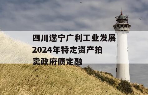 四川遂宁广利工业发展2024年特定资产拍卖政府债定融