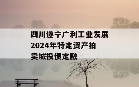 四川遂宁广利工业发展2024年特定资产拍卖城投债定融