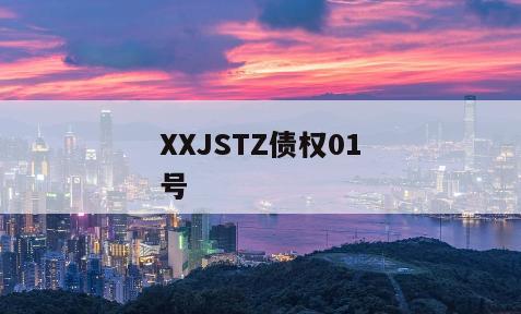 XXJSTZ债权01号