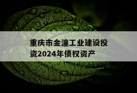 重庆市金潼工业建设投资2024年债权资产