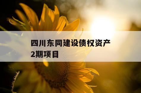 四川东同建设债权资产2期项目