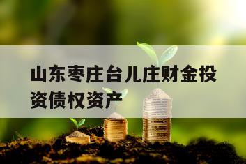 山东枣庄台儿庄财金投资债权资产