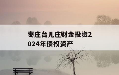 枣庄台儿庄财金投资2024年债权资产