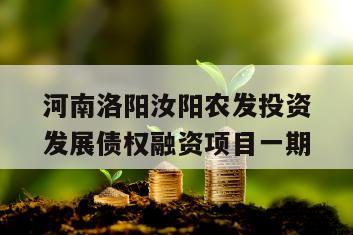 河南洛阳汝阳农发投资发展债权融资项目一期