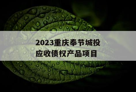 2023重庆奉节城投应收债权产品项目