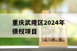 重庆武隆区2024年债权项目