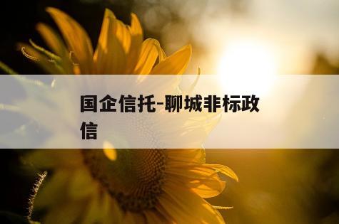 国企信托-聊城非标政信