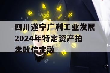四川遂宁广利工业发展2024年特定资产拍卖政信定融