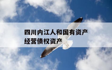 四川内江人和国有资产经营债权资产