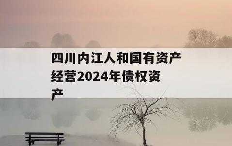 四川内江人和国有资产经营2024年债权资产