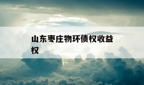 山东枣庄物环债权收益权