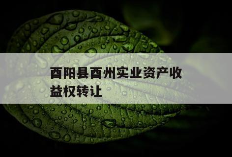 酉阳县酉州实业资产收益权转让