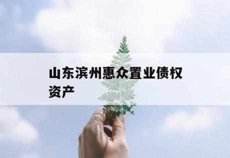 山东滨州惠众置业债权资产