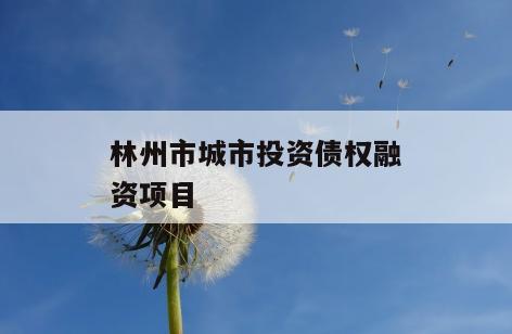 林州市城市投资债权融资项目