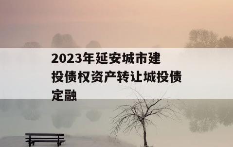 2023年延安城市建投债权资产转让城投债定融