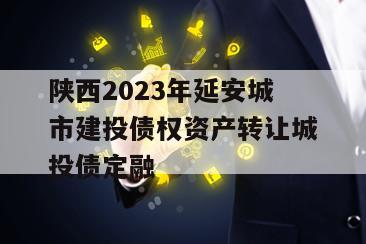 陕西2023年延安城市建投债权资产转让城投债定融
