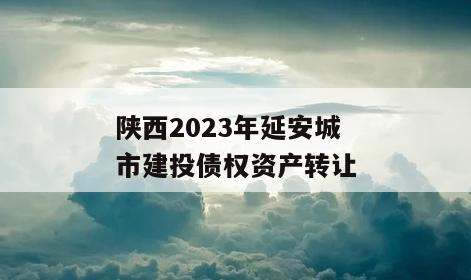 陕西2023年延安城市建投债权资产转让