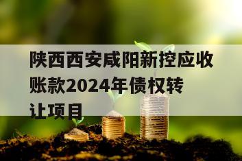 陕西西安咸阳新控应收账款2024年债权转让项目