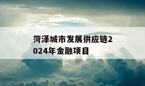 菏泽城市发展供应链2024年金融项目