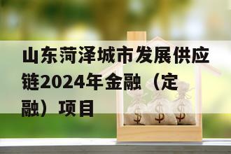 山东菏泽城市发展供应链2024年金融（定融）项目