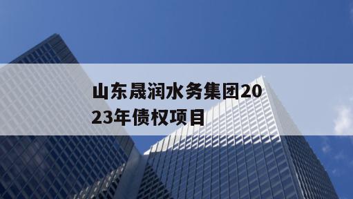 山东晟润水务集团2023年债权项目