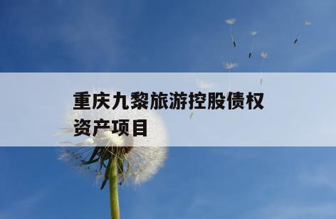 重庆九黎旅游控股债权资产项目