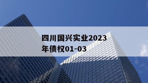 四川国兴实业2023年债权01-03
