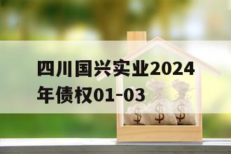四川国兴实业2024年债权01-03