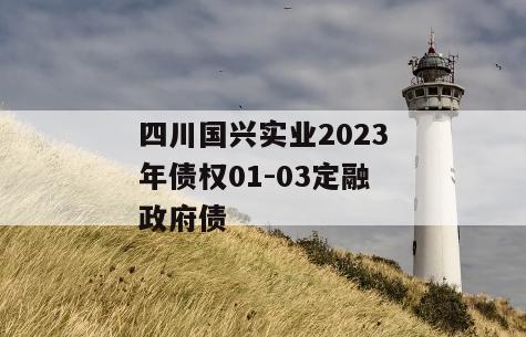 四川国兴实业2023年债权01-03定融政府债