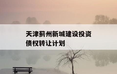 天津蓟州新城建设投资债权转让计划