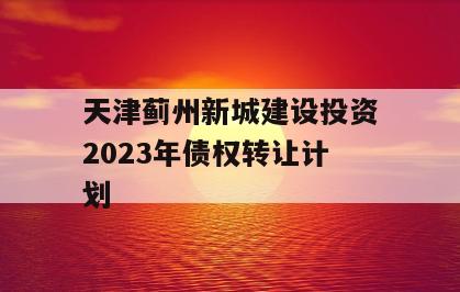天津蓟州新城建设投资2023年债权转让计划