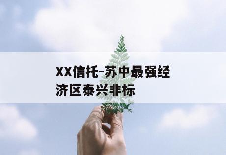 XX信托-苏中最强经济区泰兴非标