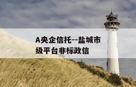 A央企信托--盐城市级平台非标政信
