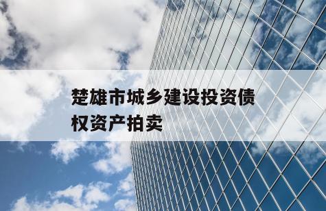 楚雄市城乡建设投资债权资产拍卖