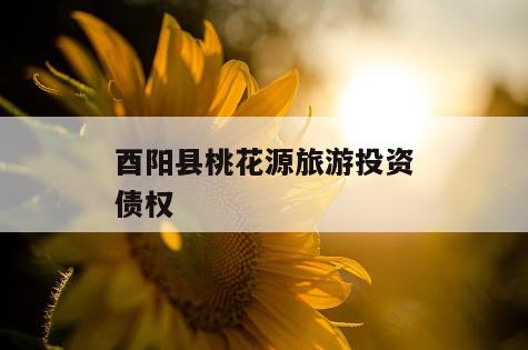 酉阳县桃花源旅游投资债权
